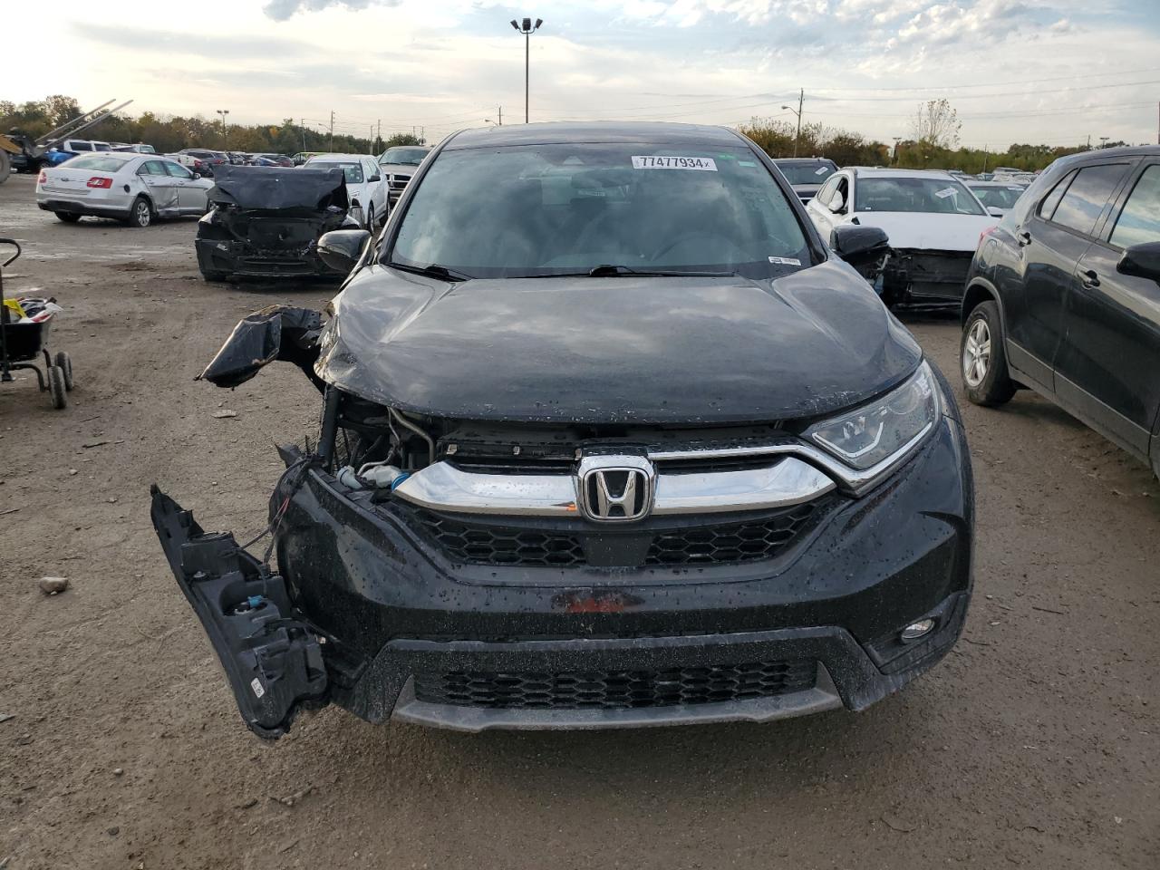 Lot #2996581505 2019 HONDA CR-V EX