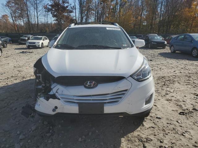 2015 HYUNDAI TUCSON LIM - KM8JUCAG2FU013450