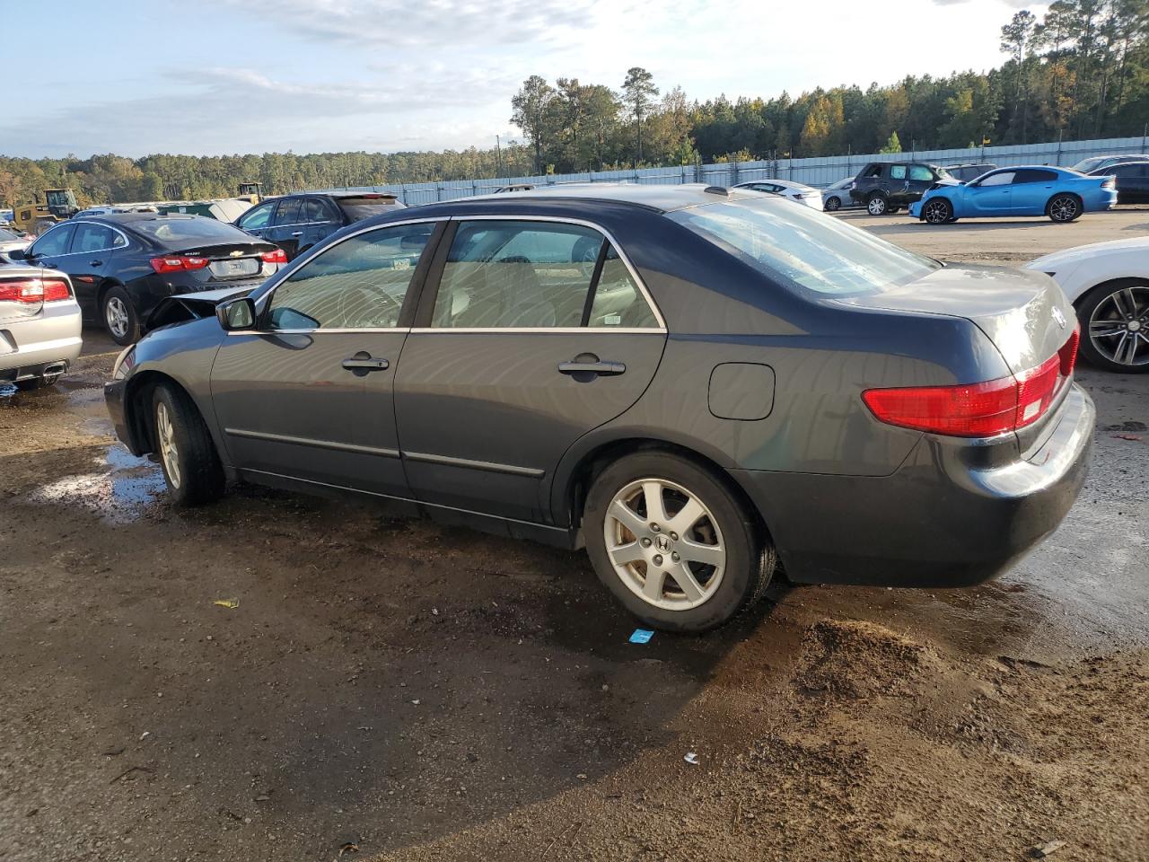 Lot #2968585467 2005 HONDA ACCORD EX