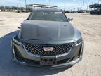 CADILLAC CT5 PREMIU photo