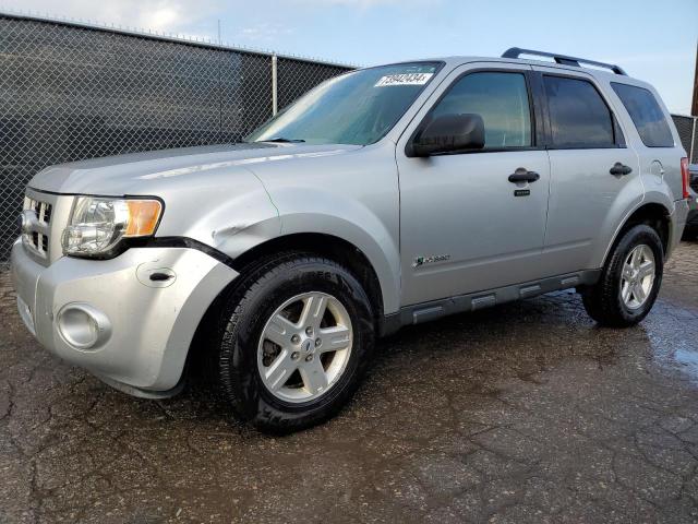 2010 FORD ESCAPE HYBRID 2010