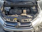 Lot #2954764454 2019 TOYOTA HIGHLANDER