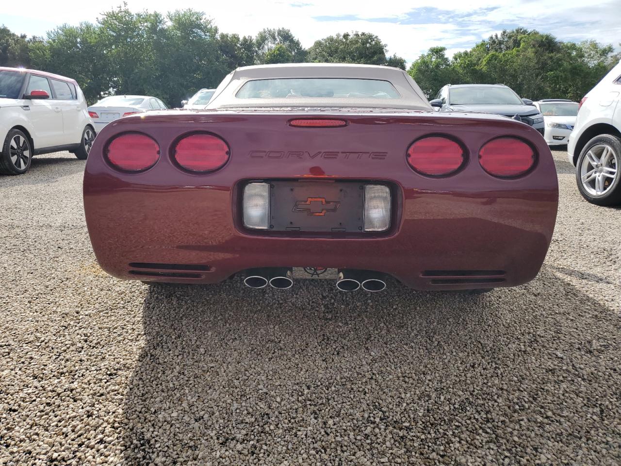 Lot #2989157737 2003 CHEVROLET CORVETTE