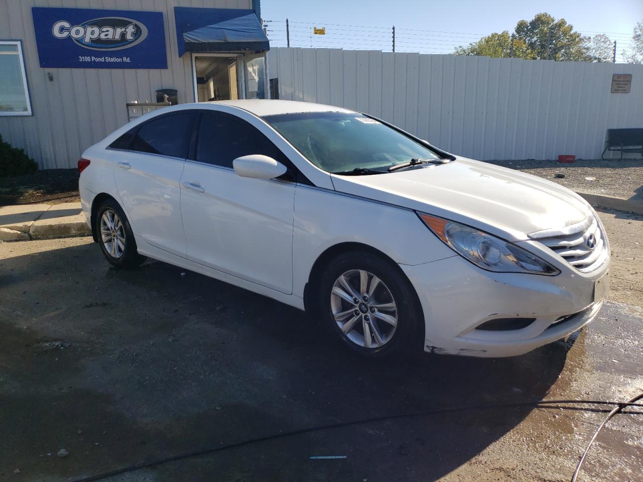 Lot #2926332546 2012 HYUNDAI SONATA GLS