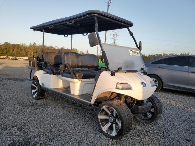 2024 OTHER GOLF CART #3028076533