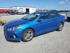 2019 HYUNDAI SONATA LIM - 5NPE34AF5KH776282