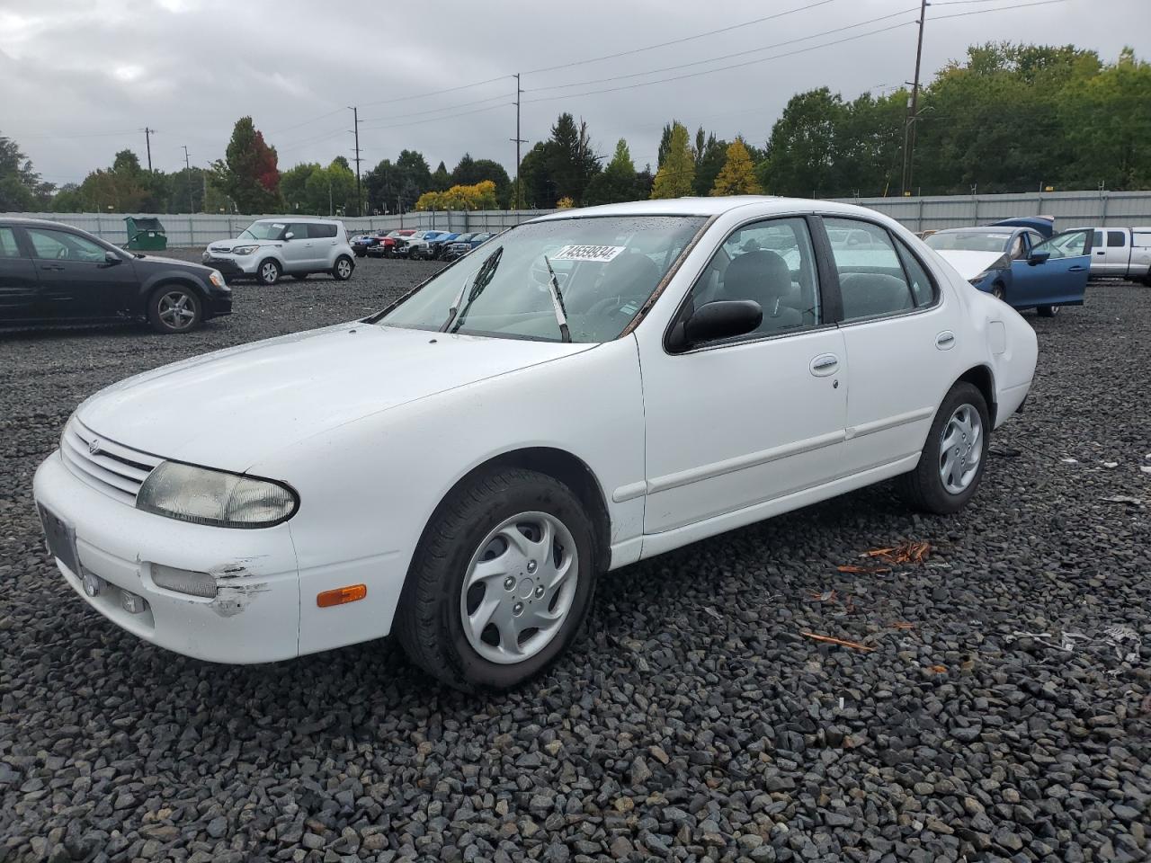 Lot #3040696786 1997 NISSAN ALTIMA XE