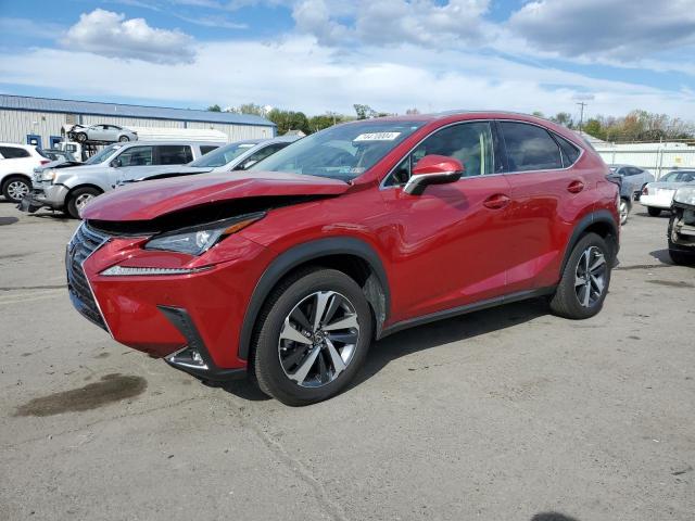 LEXUS NX 300 BAS 2019 red  gas JTJBARBZ7K2209794 photo #1