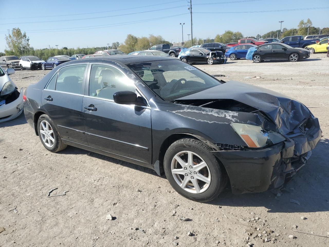 Lot #2946503177 2004 HONDA ACCORD EX