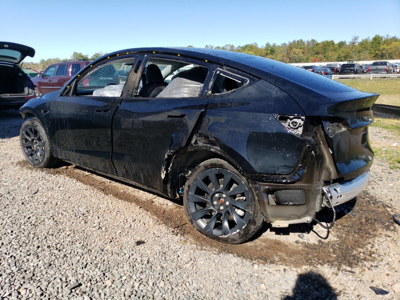 Lot #2986772145 2023 TESLA MODEL Y