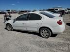 DODGE NEON SXT 1B3ES56C14D607054 photo