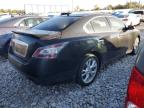 NISSAN MAXIMA S photo