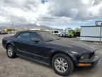 Lot #3023446336 2008 FORD MUSTANG