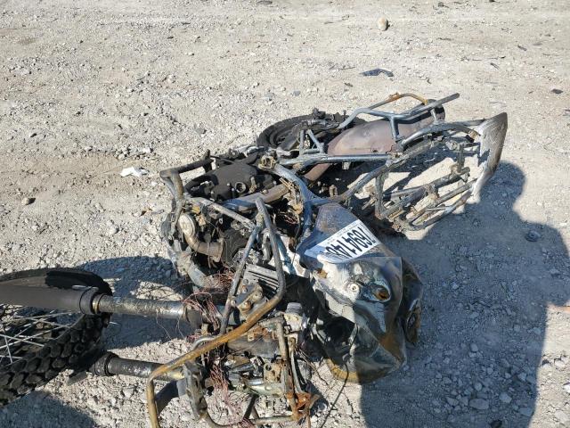 2024 KAWASAKI KL650 H - ML5KLEH10RDA33867