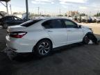 HONDA ACCORD EXL photo