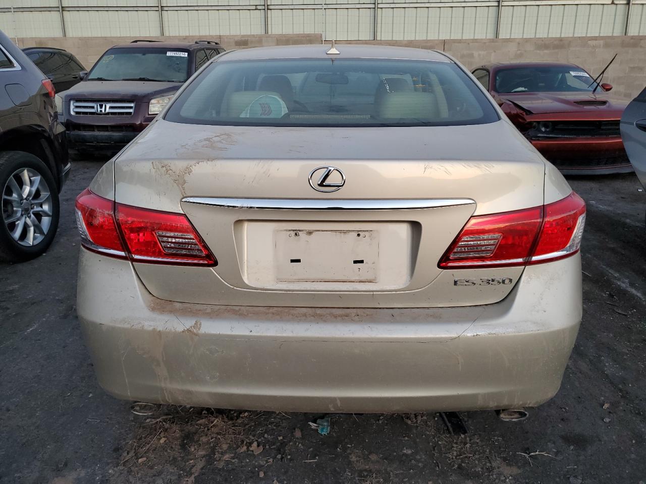 Lot #2962533734 2011 LEXUS ES 350