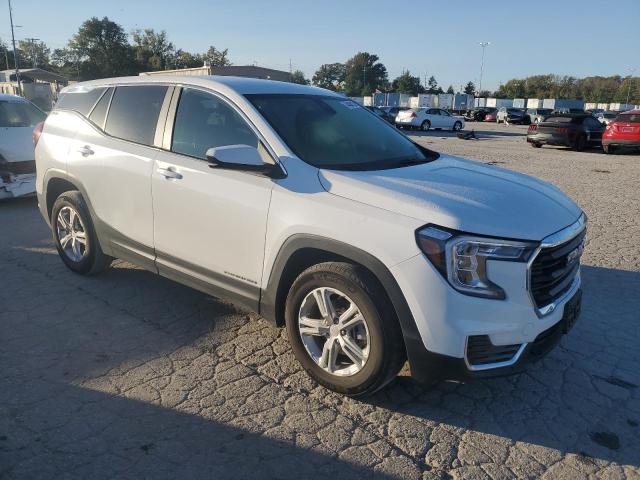 2022 GMC TERRAIN SL - 3GKALMEV9NL281513