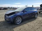 2023 TESLA MODEL Y - 7SAYGDEE0PA082074