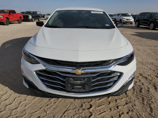 2019 CHEVROLET MALIBU LS - 1G1ZB5ST9KF228562
