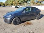 2024 TESLA MODEL Y - 7SAYGDEE1RF165535