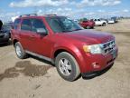 FORD ESCAPE XLT photo