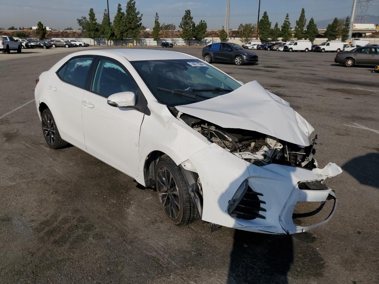 Lot #2978992666 2019 TOYOTA COROLLA L