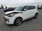 KIA SOUL + photo