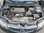 KIA FORTE EX photo