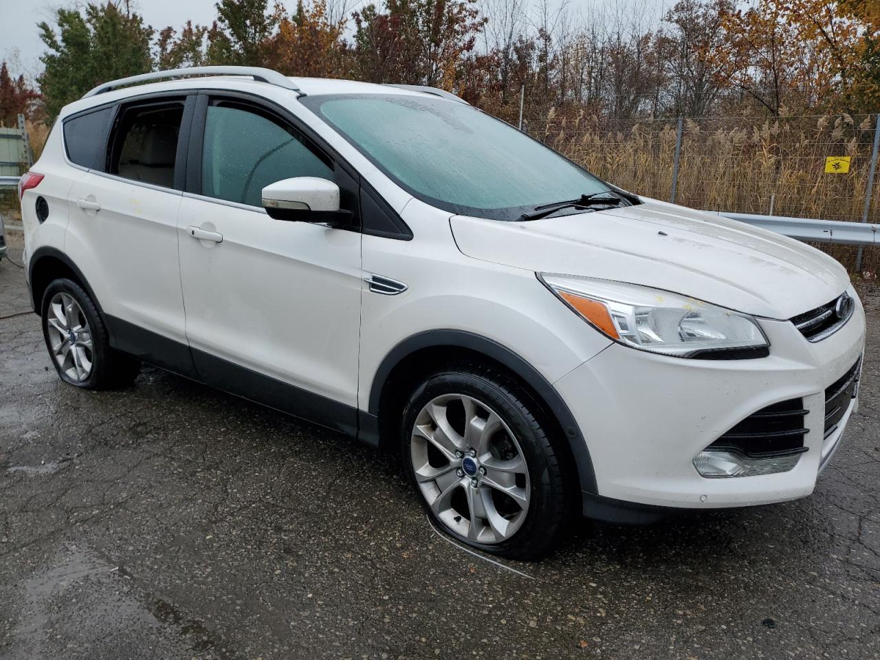 Lot #2991233110 2014 FORD ESCAPE TIT