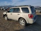 Lot #3028348801 2008 FORD ESCAPE XLT