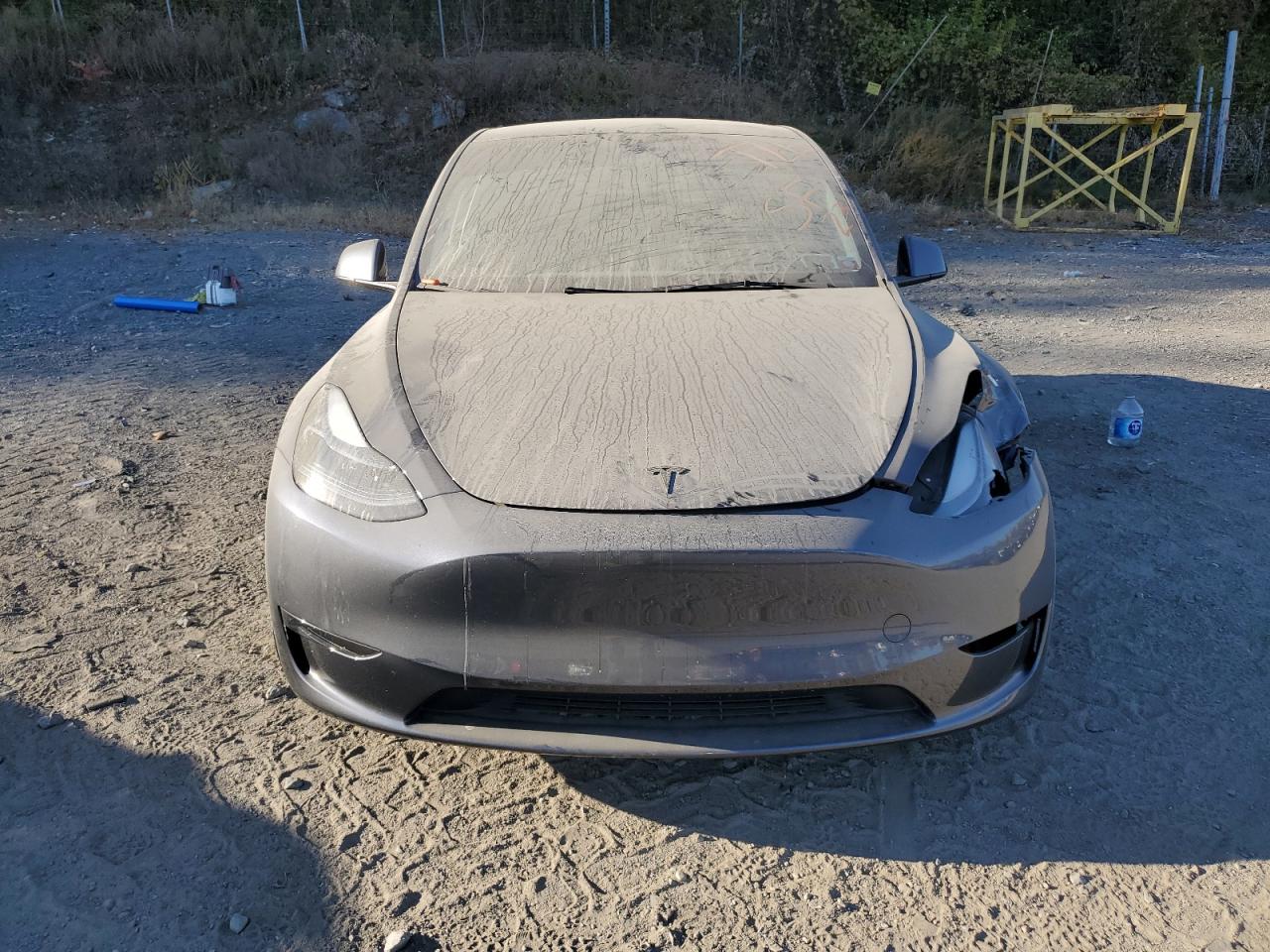 Lot #3036942726 2023 TESLA MODEL Y