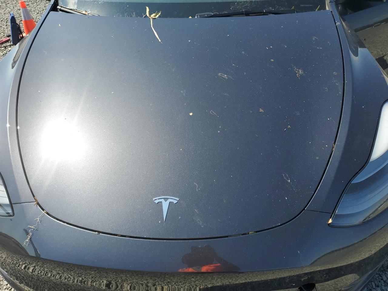 Lot #3030416468 2024 TESLA MODEL Y