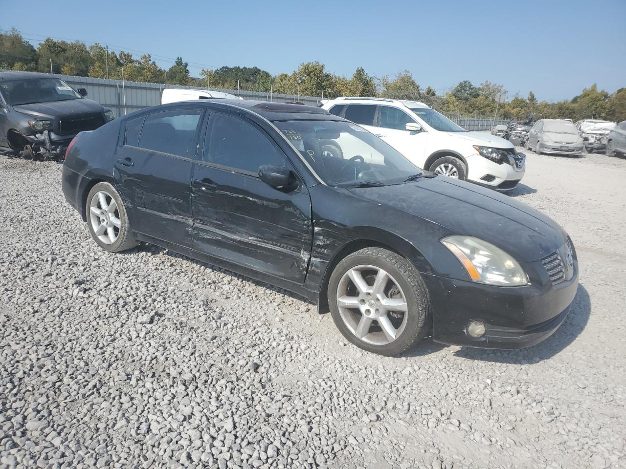 Lot #2978635203 2006 NISSAN MAXIMA SE