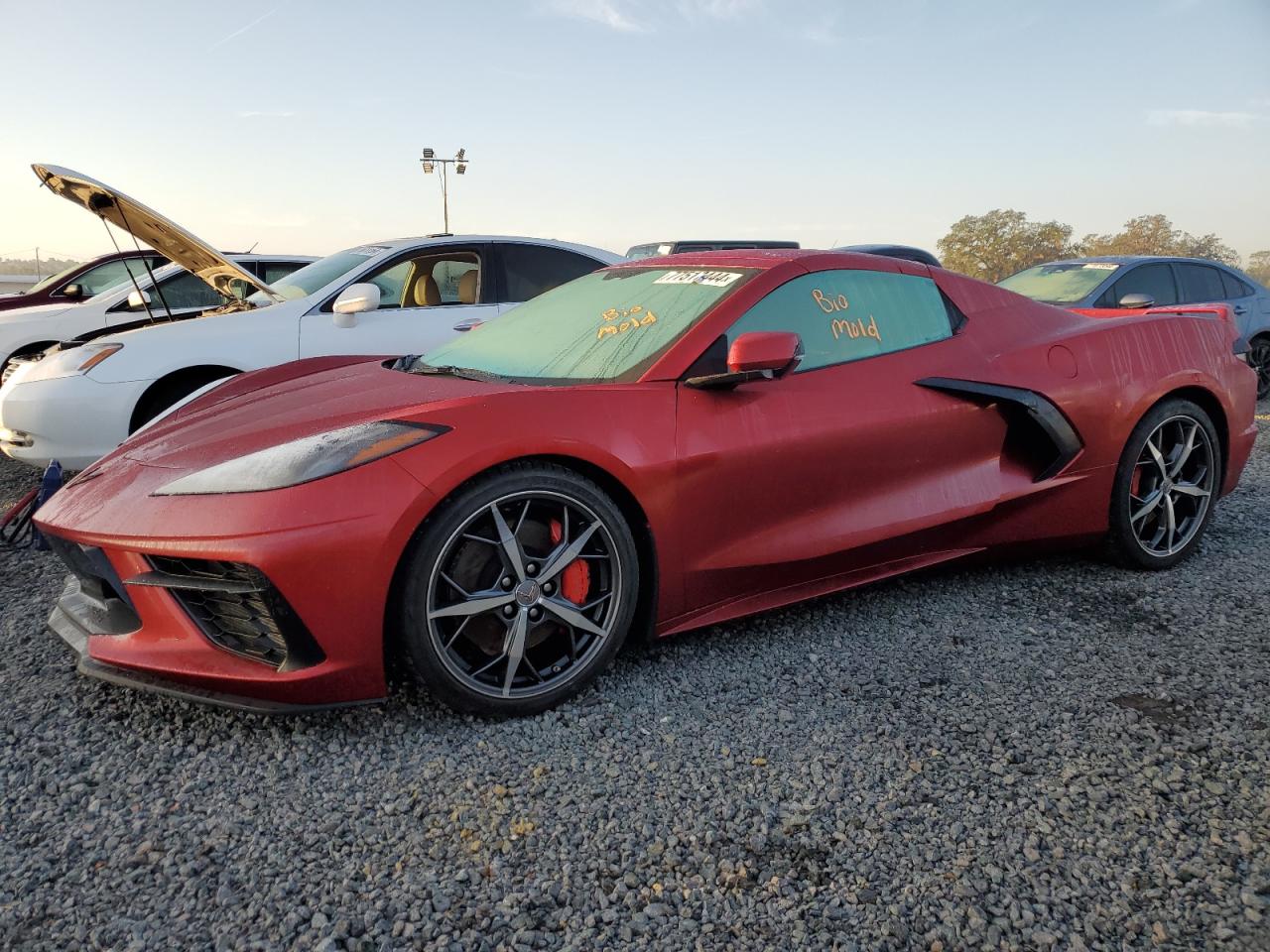 Lot #3030218129 2023 CHEVROLET CORVETTE S