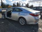 LEXUS ES 300H photo