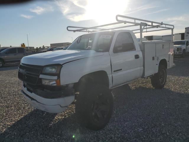 CHEVROLET SILVERADO 2005 white pickup gas 1GBHC24U55E238489 photo #1