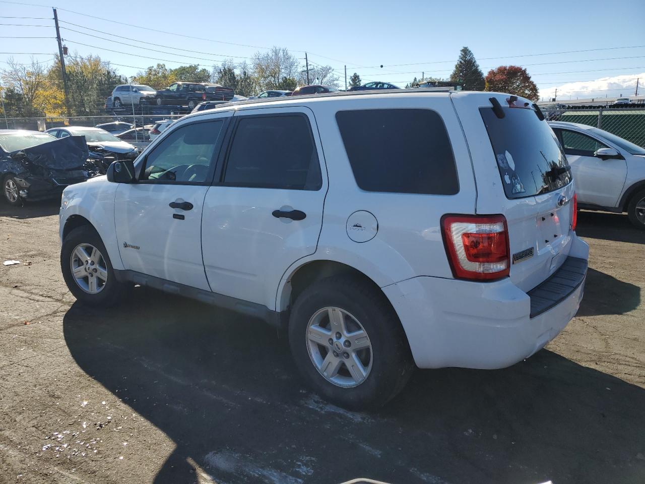 Lot #2977021567 2010 FORD ESCAPE HYB