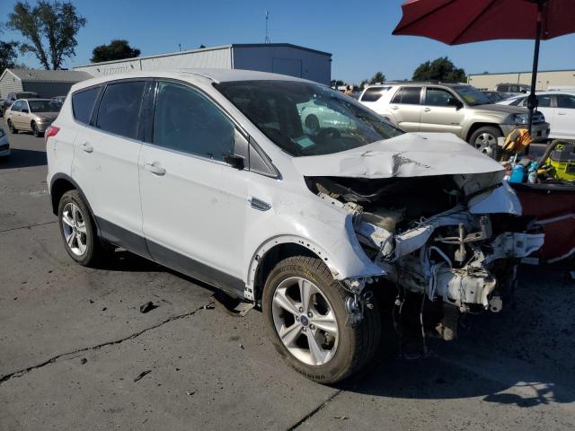 VIN 1FMCU0GX6EUB99796 2014 Ford Escape, SE no.4