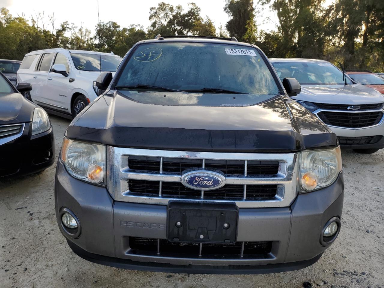 Lot #2977011590 2011 FORD ESCAPE XLT