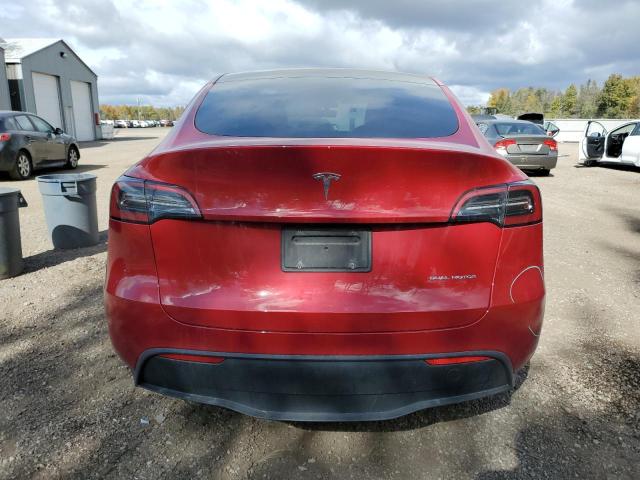 2023 TESLA MODEL Y - 7SAYGAEEXPF635119