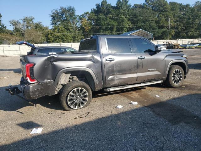 2023 TOYOTA TUNDRA CRE - 5TFJC5DB1PX019646