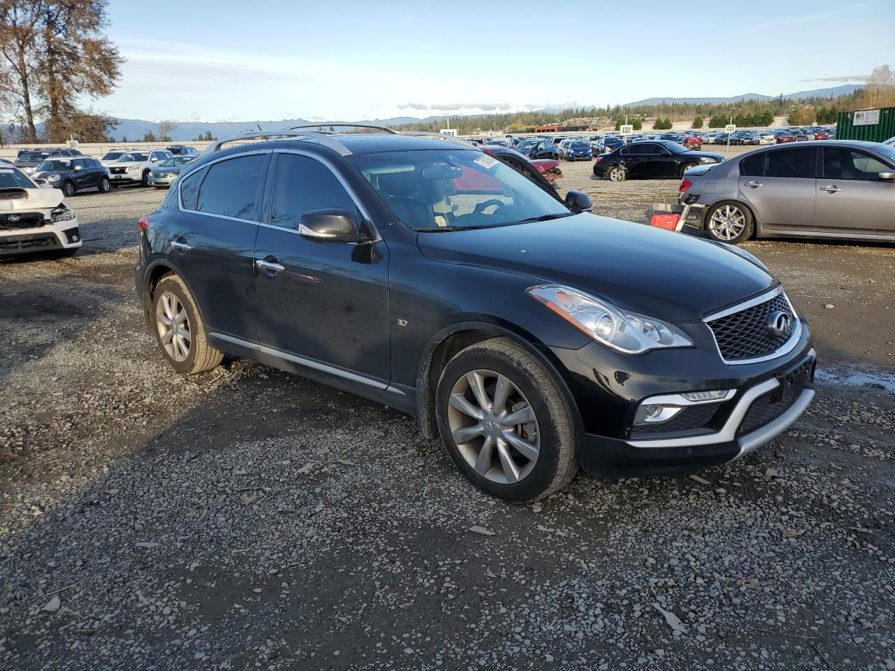 Lot #2970126297 2017 INFINITI QX50