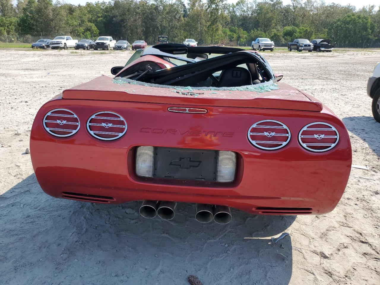 Lot #2938429264 2004 CHEVROLET CORVETTE