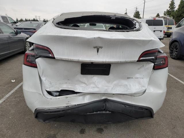 2023 TESLA MODEL Y - 7SAYGDEE5PA128286