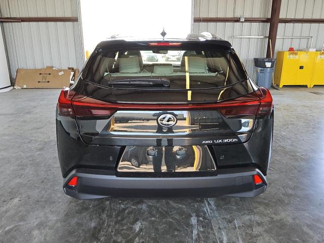 2025 LEXUS UX 300H BA JTHUCJDH2S2001462