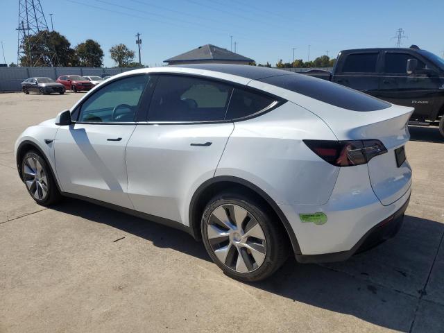 2023 TESLA MODEL Y - 7SAYGDEE5PF669888