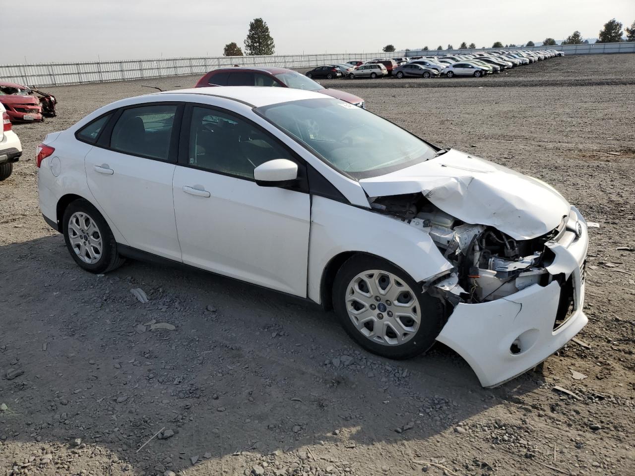 Lot #2905080156 2012 FORD FOCUS SE