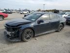 2019 TOYOTA CAMRY L - 4T1B11HK5KU286906