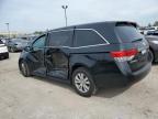 HONDA ODYSSEY SE photo