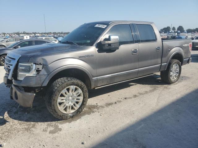 VIN 1FTFW1EF5DFB98203 2013 FORD F-150 no.1